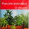 Plantele aromatice in ghivece &ndash; Engelbert Kotter