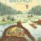 Bine Ai Venit Acasa, Bruno!, Magnus Weightman - Editura Corint