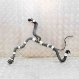 Furtun de lichid de răcire TESLA MODEL 3 2020 OEM: 1101579-00-A 16026090