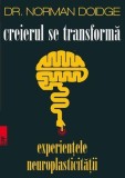 Creierul se transformă, 2017