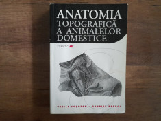 ANATOMIA TOPOGRAFICA A ANIMALELOR DOMESTICE - VASILE COTOFAN foto