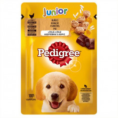 Pedigree Junior pliculeț cu pui și orez în gelatină 100 g