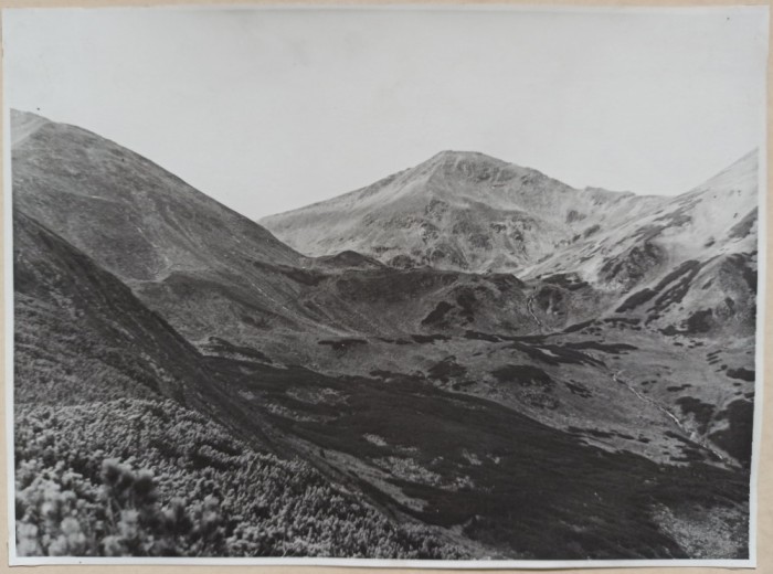 Valea Lalei din Muntii Rodnei, trepte de eroziune glaciara// H.G. Krautner
