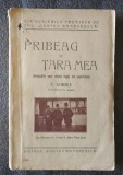 V. Gorsky - Pribeag &icirc;n țara mea : peripețiile