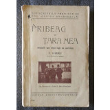 V. Gorsky - Pribeag &icirc;n țara mea : peripețiile