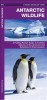 Antarctic Wildlife: A Folding Pocket Guide to Familiar Species of the Antarctic and Subantarctic Environments