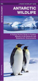 Antarctic Wildlife: A Folding Pocket Guide to Familiar Species of the Antarctic and Subantarctic Environments