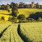 The Rough Guide to England (Travel Guide with Free Ebook)