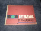 ION P NECULA - ORTOGRAFIA PRIN IMAGINI SI COMPARATII PARTEA A DOUA