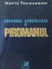 Capitanul Apostolescu si piromanul - Horia Tecuceanu