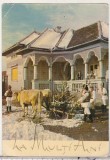bnk cp Felicitare - Sarbatorile de iarna - uzata - marca fixa - cod 347/67
