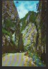 CPIB 21327 CARTE POSTALA - CHEILE DAMBOVICIOAREI, Necirculata, Fotografie