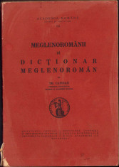 HST 169SP Meglenorom&amp;acirc;nii III Dicționar meglenorom&amp;acirc;n de Theodor Capidan foto