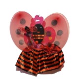 Set aripi si fustita buburuza