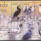 DB1 Fauna Pasari Bhutan Pasari de Apa MS MNH