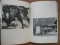 Foto  - 2