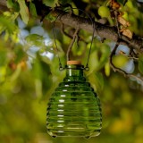 Cumpara ieftin Capcană de viespi de sticlă Trapo
