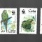 cuba pasari mnh