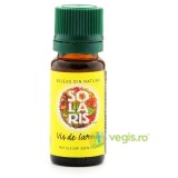 Ulei Esential Vis de Iarna 10ml