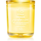 DW Home Prime Citrus Orchard lum&acirc;nare parfumată 264 g