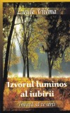 Luule Viilma - Izvorul luminos al iubirii