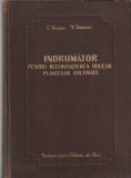 E. DOCEA - INDRUMATOR PENTRU RECUNOASTEREA BOLILOR PLANTELOR CULTIVATE ( 1957 )