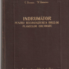 E. DOCEA - INDRUMATOR PENTRU RECUNOASTEREA BOLILOR PLANTELOR CULTIVATE ( 1957 )