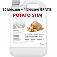 Pachet promotional Fertilizant EC special cu efect antifungic pentru cultura de cartofi Potato Stim 10 L 10+4 GRATIS