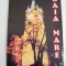 QW23 B - Carte postala - tematica turism - vedere - Romania - Baia Mare 2