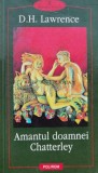 Cumpara ieftin Amantul doamnei Chatterley - 2001 - D. H. Lawrence ($A95)