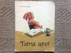 taina apei horvath imre ilustrata carte poezii copii editura tineretului 1958 RPR o pagina rupta la colt