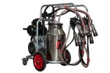 Aparat de muls vaci Melasty galvanizat, bidon inox 40 litri, 2 posturi( ungere)