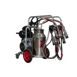 Aparat de muls vaci Melasty galvanizat, bidon inox 40 litri, 2 posturi( ungere)