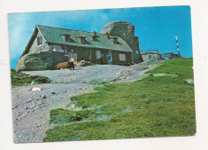 F2 - Carte Postala - Muntii Bucegi, Cabana Omul, circulata 1991 foto