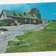 F2 - Carte Postala - Muntii Bucegi, Cabana Omul, circulata 1991
