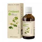 Tinctura cretisoara 50ml dacia plant