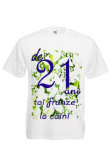 TRICOU IMPRIMEU DTG DE 21 ANI TAI FRUNZE LA CAINI, tricou aniversare 21 ani foto