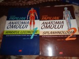 Anatomia omului ( aparatul locomotor +splanhnologia ) - Victor Papilian / 2 volume, an 2014/, numeroase figuri ( pretul este pentru ambele volume )