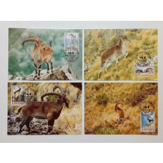 Etiopia 1990 - capra de munte, serie CarteMaxima