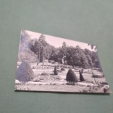 Cumpara ieftin CARTE POSTALA ORADEA BAILE 1 MAI -VEDERE DIN PARC CIRCULATA