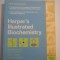 Harper&#039;s Illustrated Biochemistry - R. K. Murray; D. K.Granner; P. A. Mayes; V. W Rodwell