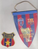 bnk div Fanion si ecuson Steaua Bucuresti 2001