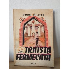 Pavol Bujtar - Traista Fermecata