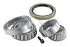 SNR R141.13 Set rulment roata