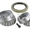 SNR R141.13 Set rulment roata