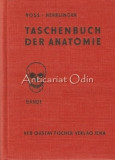Taschenbuch Der Anatomie I-III - Hermann Voss, Robert Herrlinger