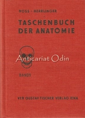 Taschenbuch Der Anatomie I-III - Hermann Voss, Robert Herrlinger foto