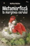 Metamorfoza la marginea cerului - Mathias Malzieu