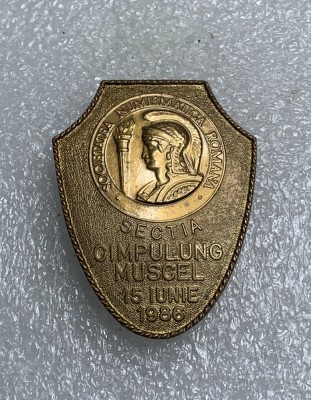 Insigna SNR secția C&amp;acirc;mpulung Muscel 15 iunie 1986 foto