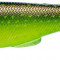 Gunzilla 19cm Clear Pike Fire Pike